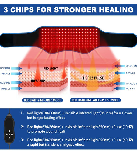 Red Light Belt, Infrared Light with Partition Control and Remote Control , near Infrared Red Light for Body(Blue)