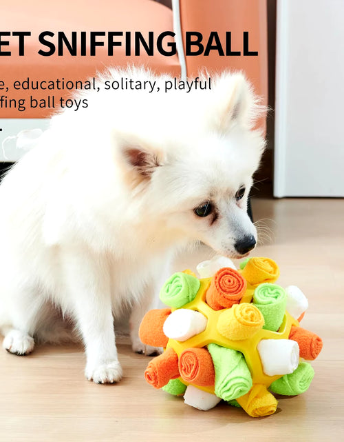 Load image into Gallery viewer, Sniffing Puzzle Interactive Training Pet Toys for Dog Cat
