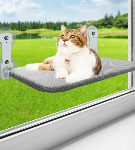 Cat Window Perch,  Kitten Hammock & Shelf for Wall ,Foldable Pet Beds for Indoor Cat, Gray