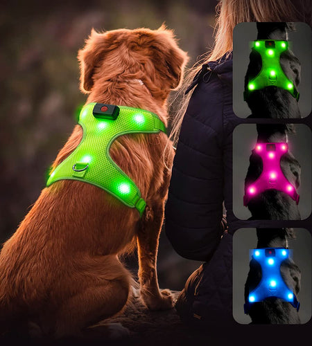 LED Dog Harness, Lighted up USB Rechargeable Pet Harness, Illuminated Reflective Glowing Dog Vest Adjustable Soft Padded No-Pull Suit for Small, Medium, Large Dogs (Green, S)